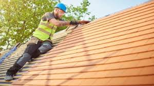 Best Roof Moss and Algae Removal  in Murray, KY