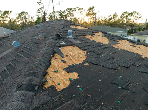 Best Roofing for New Construction  in Murray, KY